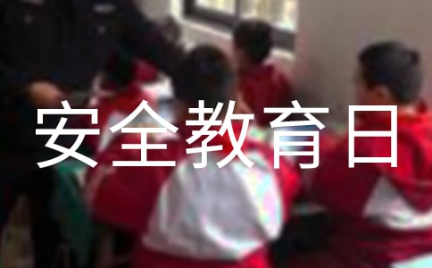 全國中小學生安全教育日主題班會教案