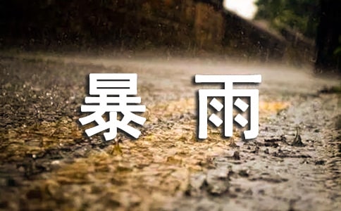 暴雨應(yīng)急服務(wù)方案范文(通用9篇)