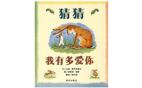 中班優(yōu)秀語言課教案《猜猜我有多愛你》