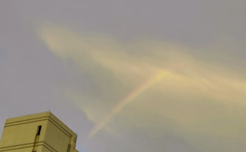 小學作文《不經(jīng)風雨怎見彩虹》