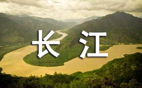 長江入河排污口整治專項(xiàng)行動(dòng)實(shí)施方案