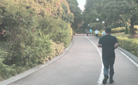 早晨晨跑高中周記