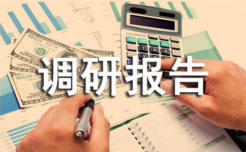 空巢老人調研報告(14篇)