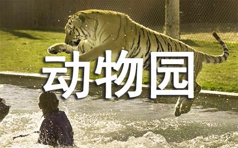 動物園規(guī)劃方案