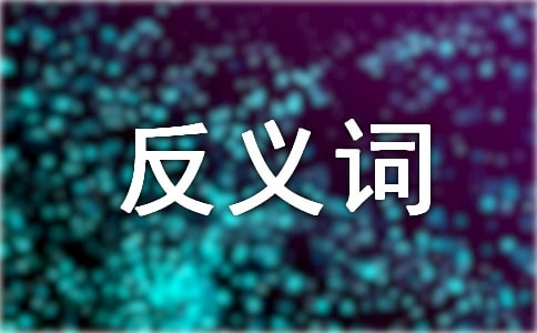 連合的近義詞和反義詞