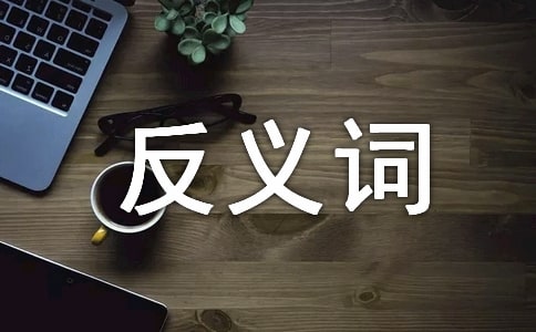 精密的反義詞和造句