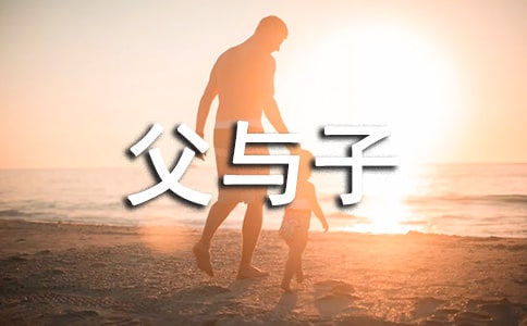 父與子教學(xué)反思