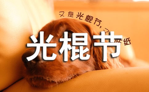 雙十一光棍節(jié)活動(dòng)策劃方案