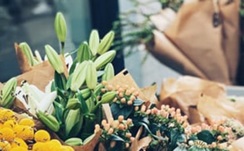 創(chuàng)意花店創(chuàng)業(yè)計劃書