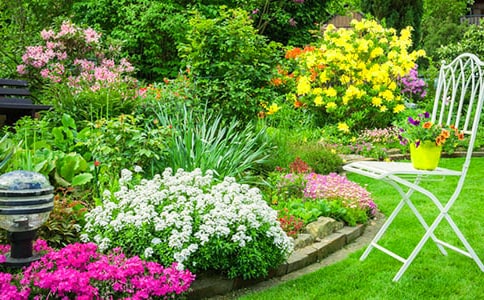 《巨人的花園》教學(xué)設(shè)計(jì)范文