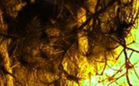 電氣火災(zāi)綜合治理工作方案