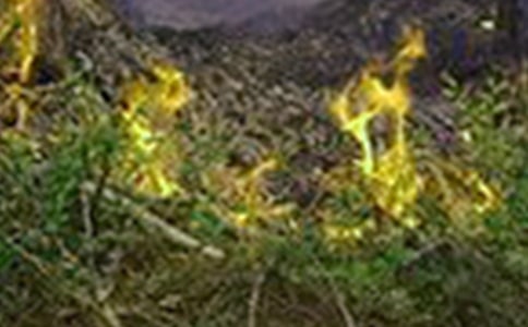 火災(zāi)事故的調(diào)查報告范文(通用10篇)