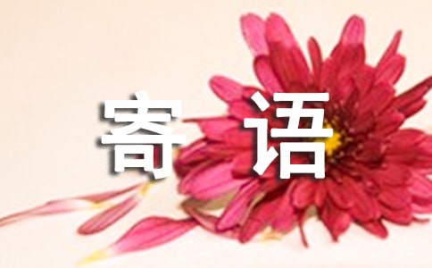 少先隊(duì)老隊(duì)員的寄語(yǔ)