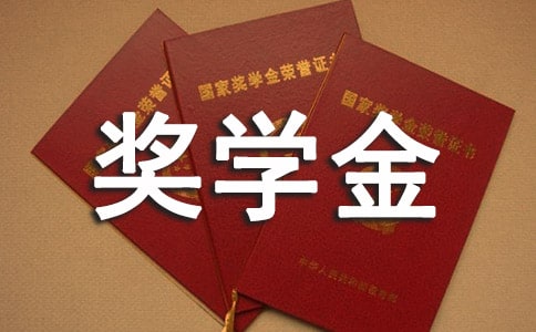 校內(nèi)獎(jiǎng)學(xué)金申請書(精選13篇)