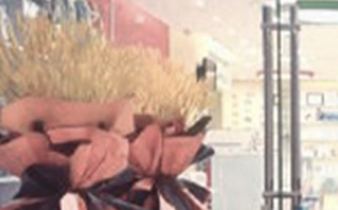 開業(yè)活動(dòng)方案設(shè)計(jì)