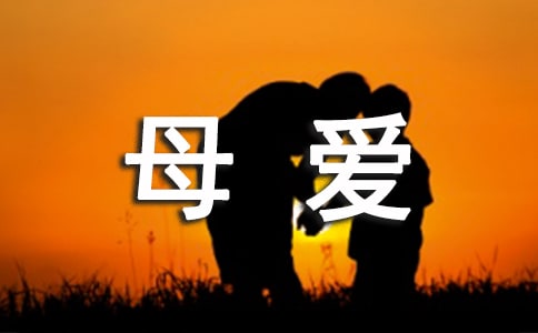 《母愛(ài)是一根穿針線》讀后感范文300字