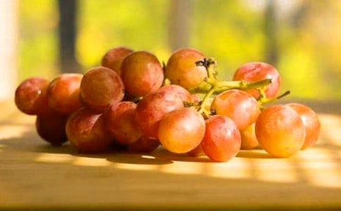 美工區(qū)域活動(dòng)《葡萄變黑了》教學(xué)反思