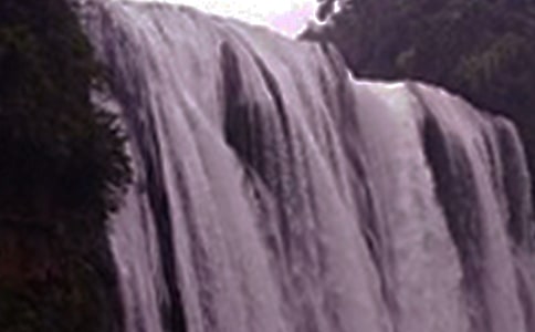 紫藤蘿瀑布表格式優(yōu)秀教案