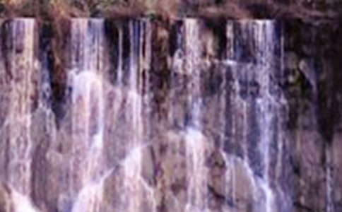 紫藤蘿瀑布教案