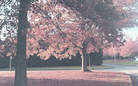 關(guān)于秋季工作計劃(通用10篇)