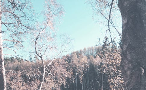 大班秋季學(xué)期家長工作計劃(通用7篇)