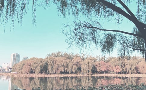 【實(shí)用】秋季工作計(jì)劃合集九篇