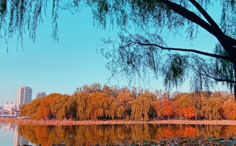 御街行秋日懷舊閱讀訓(xùn)練題及答案