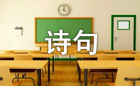 感悟人生哲理詩句