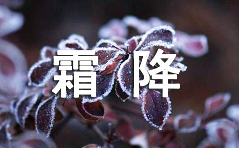 霜降發(fā)朋友圈的句子9篇