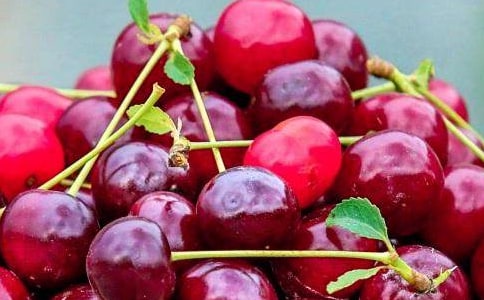 寶寶班親子水果拼盤活動(dòng)方案