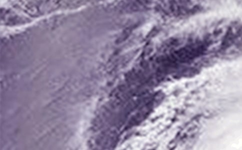 刮臺風(fēng)幽默句子收藏