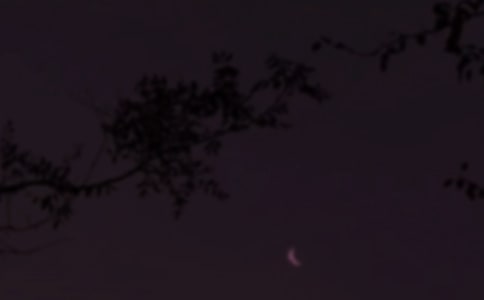 晚安的句子(15篇)