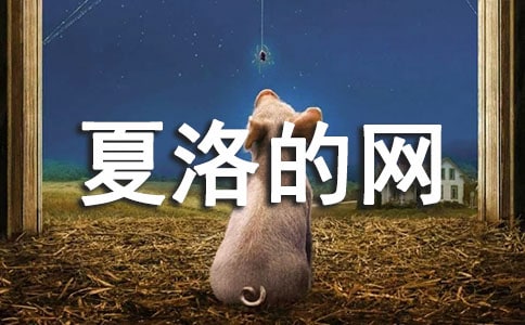 夏洛的網(wǎng)讀后感三百字(精選33篇)