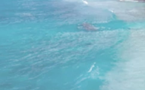 夏日的早晨 精美散文