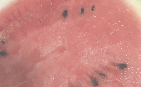 優(yōu)秀散文:夏日記憶