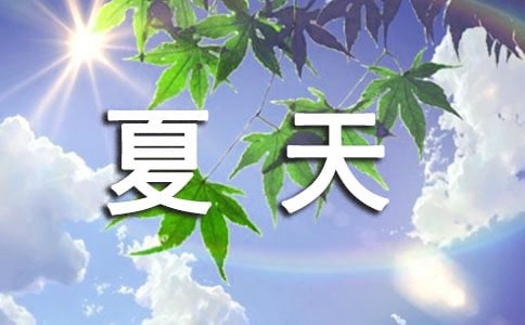 夏天的小蟲教學(xué)設(shè)計活動