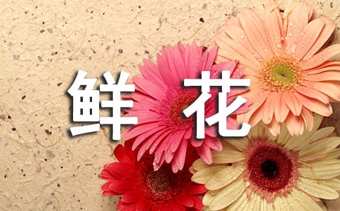 《一束鮮花》閱讀答案
