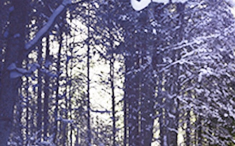 小雪節(jié)氣活動教案(精選6篇)