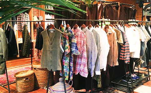 大班繪本:動物絕對不應(yīng)該穿衣服