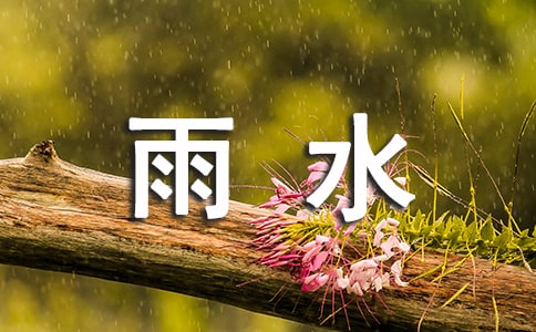 雨水節(jié)氣教案(通用11篇)