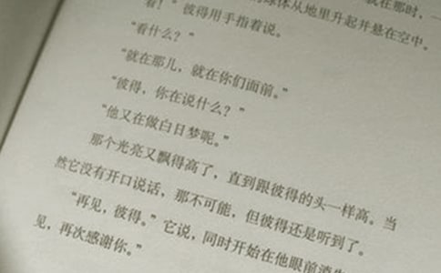 農(nóng)村小學(xué)語文閱讀教學(xué)調(diào)查報告范文
