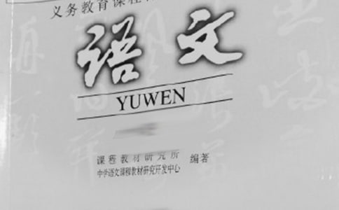 【精選】語文教學(xué)工作計劃集合七篇
