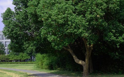 經(jīng)典每日一簽早安心語朋友圈合集36條