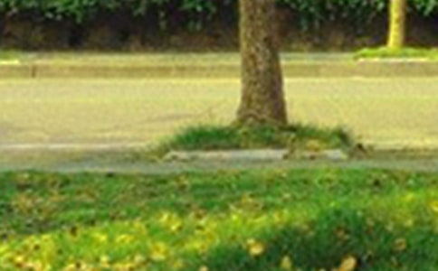 【推薦】適合給朋友的早安朋友圈問候語匯編55條