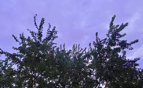 【推薦】2023年動(dòng)人的早安朋友圈問候語(yǔ)集合51條