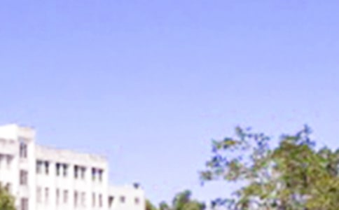 【精華】2021年溫馨的早安心語朋友圈48條