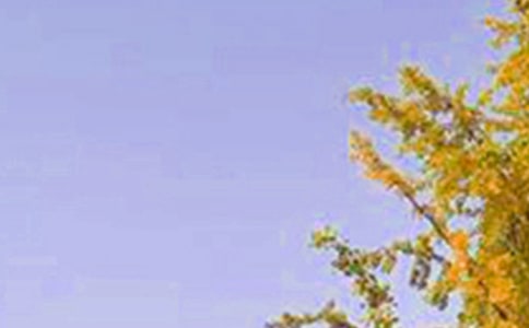 春分早安晚安問候語摘錄(精選95句)