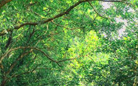 充滿正能量的早安句子收藏