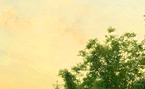 有關(guān)唯美的早安朋友圈問候語集合53條