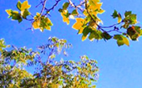 2022年簡單的適合早上發(fā)的早安心語朋友圈32條